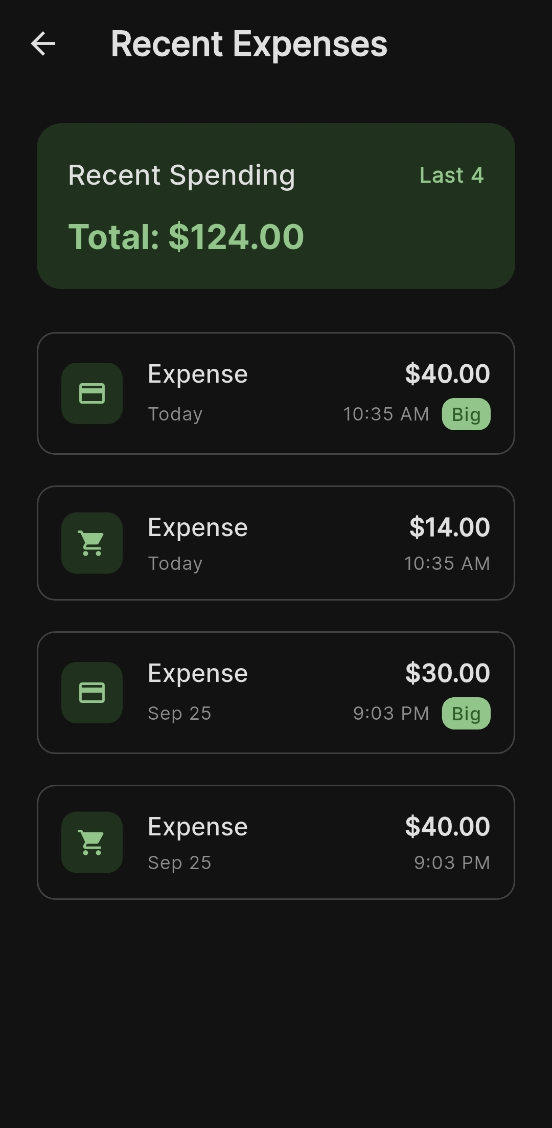 Budget Tracker Screenshot3